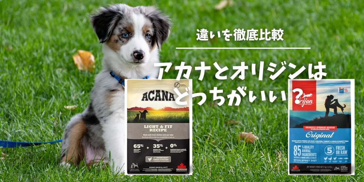 アカナとオリジン ドッグフードの違い