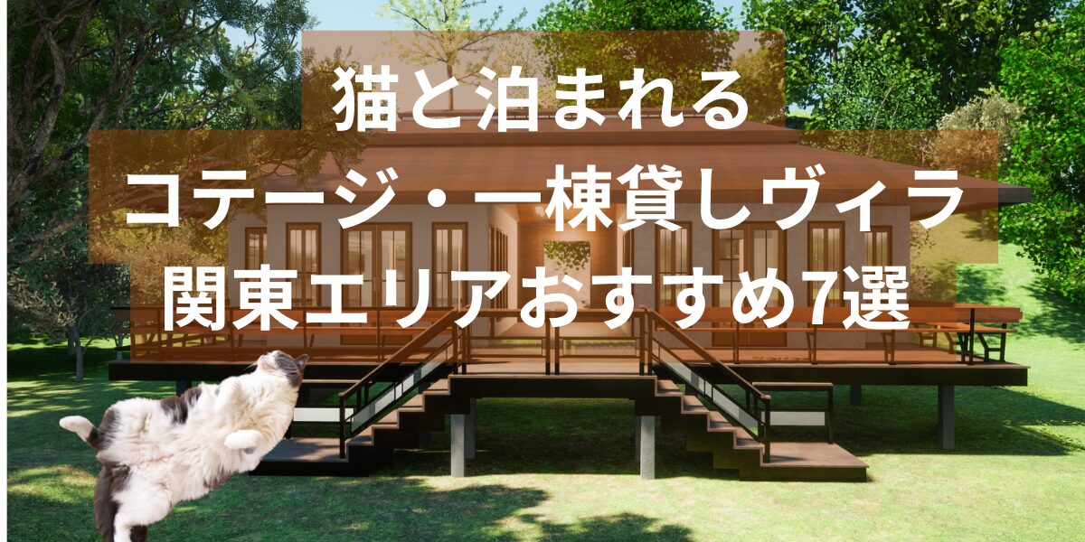 関東エリアで猫と泊まれるコテージ・一棟貸しの宿