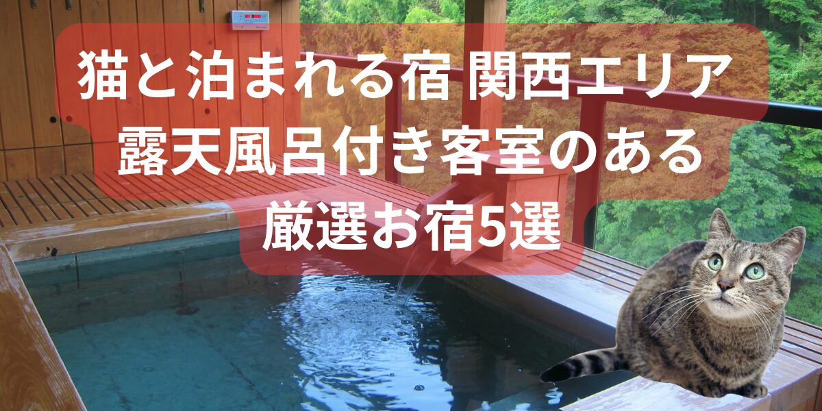 関西で猫と泊まれる露天風呂付き客室のある宿