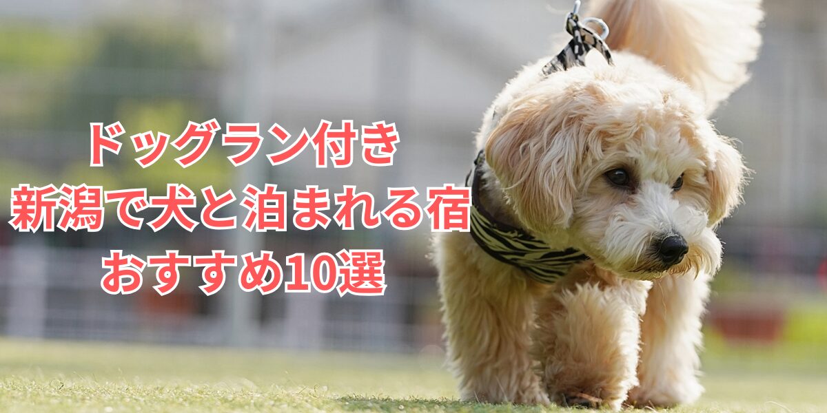 新潟で犬と泊まれるドッグラン付きの宿