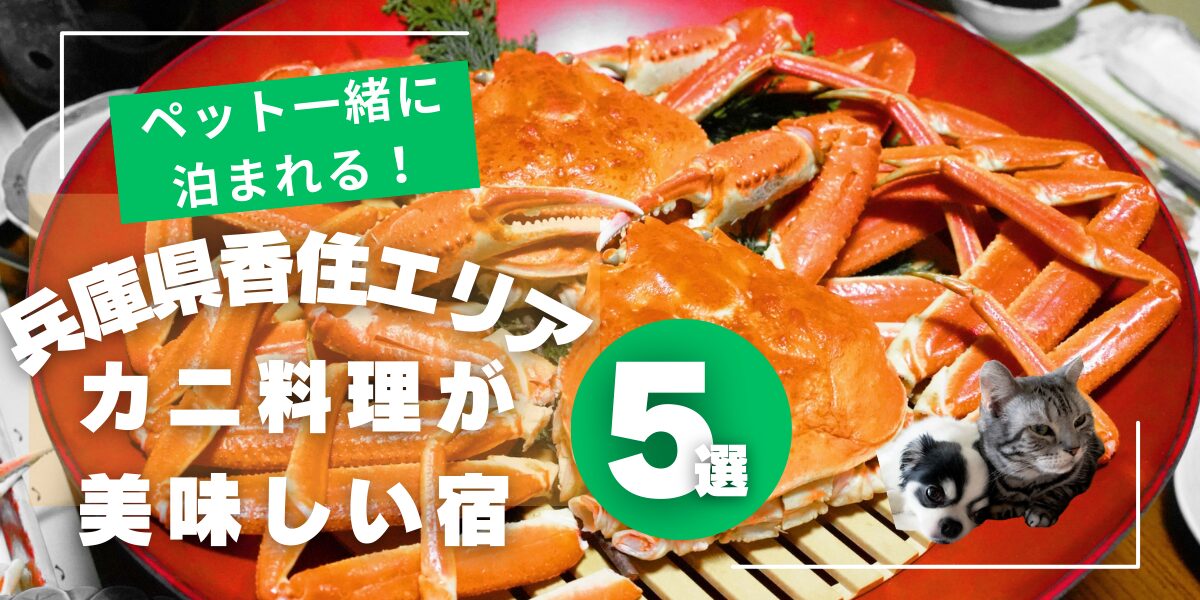 香住のペットと泊まれてカニ料理が食べられる宿