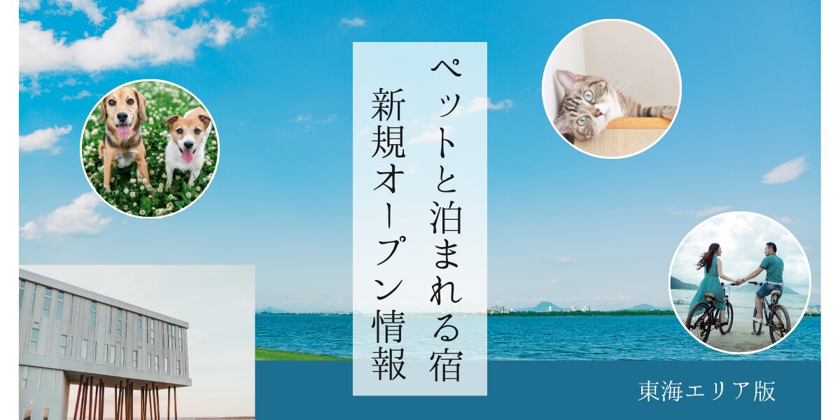 東海エリアで新規オープンのペットと泊まれる宿
