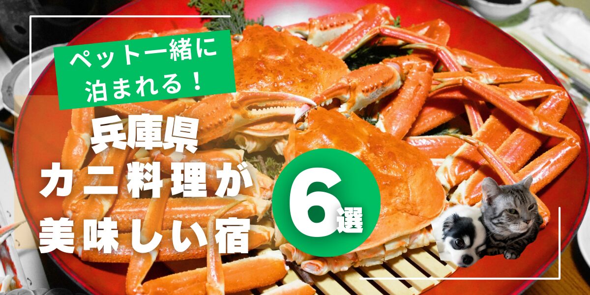 兵庫県でペットと泊まれてカニ料理が食べられる宿