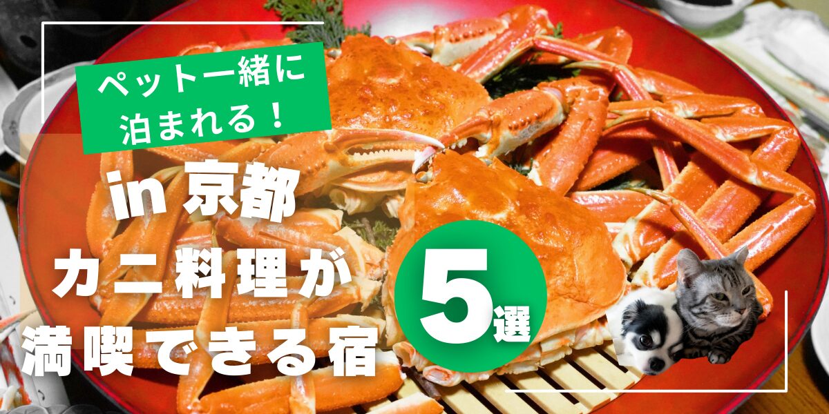 京都でペットと泊まれてカニ料理が楽しめる宿