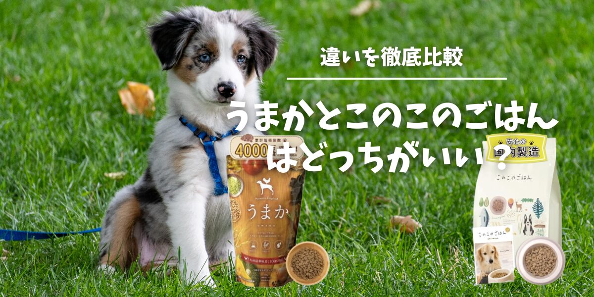 ドッグフードのうまかとこのこのごはんの違い
