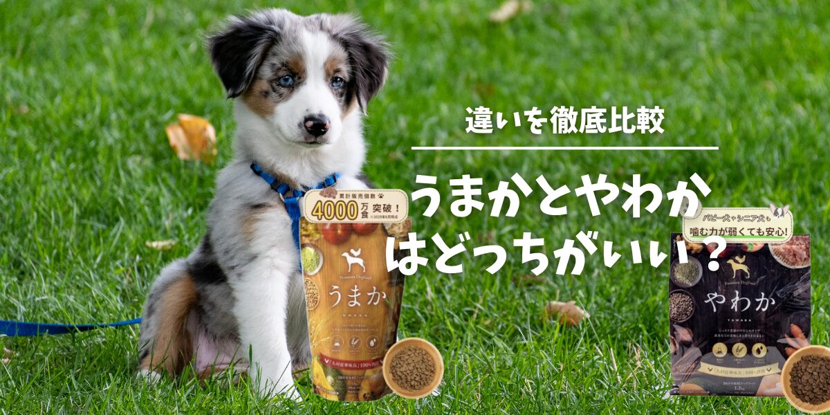 ドッグフードのうまかとやわかの違い