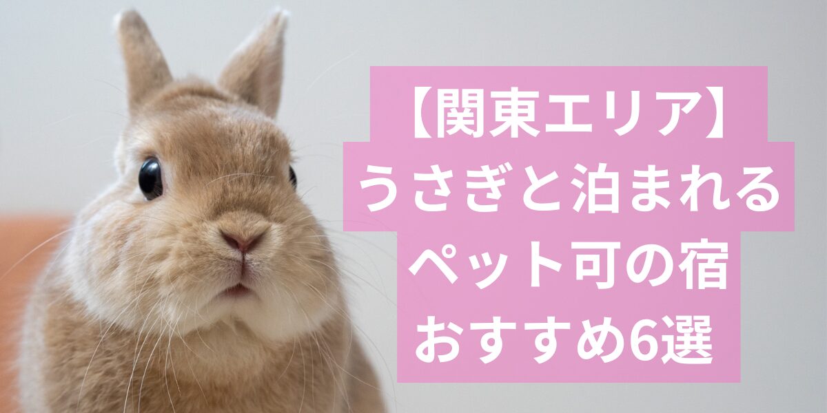 うさぎと泊まれる関東エリアの宿