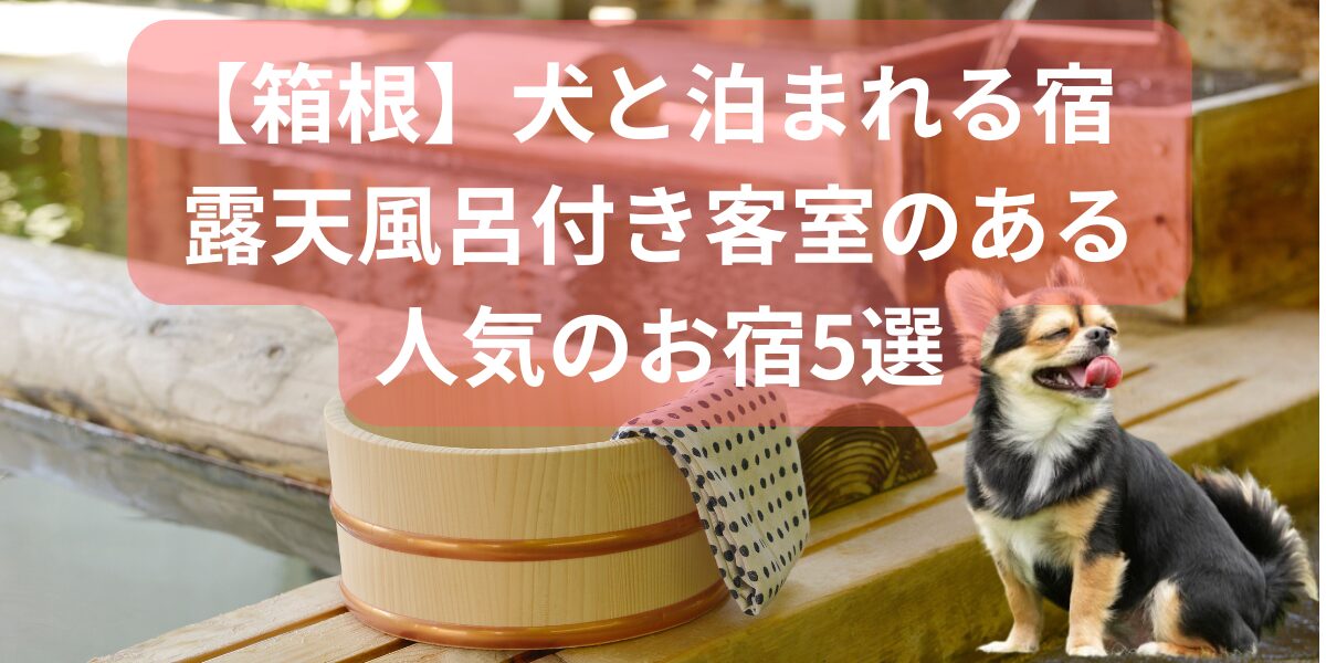 箱根で犬と泊まれる露天風呂付き客室のある宿