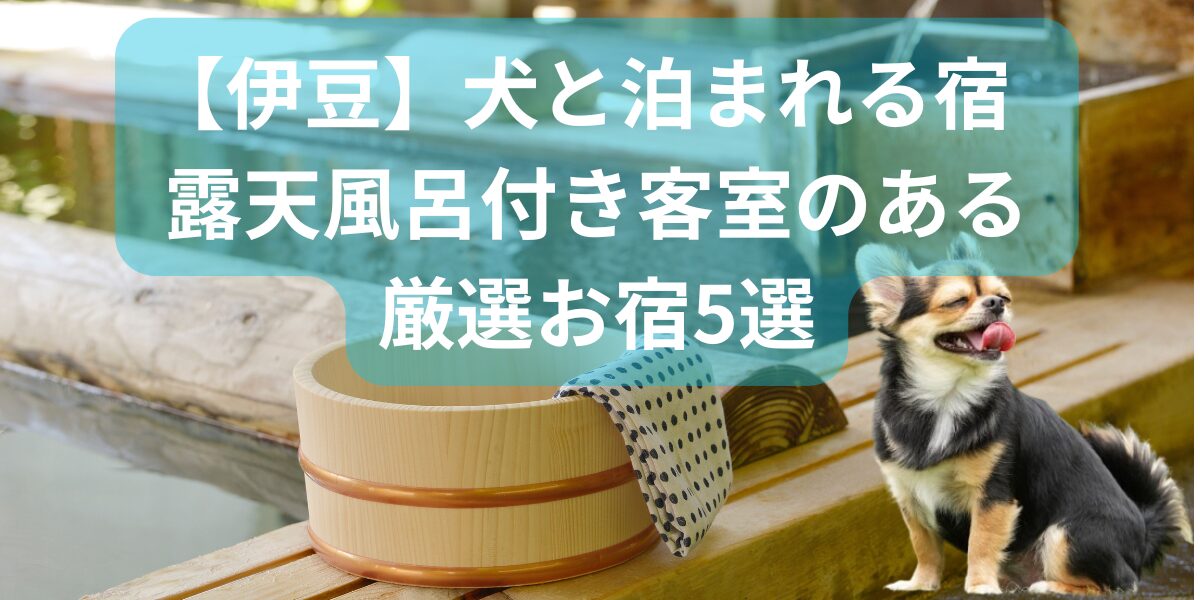 伊豆で犬と泊まれる露天風呂客室のある宿