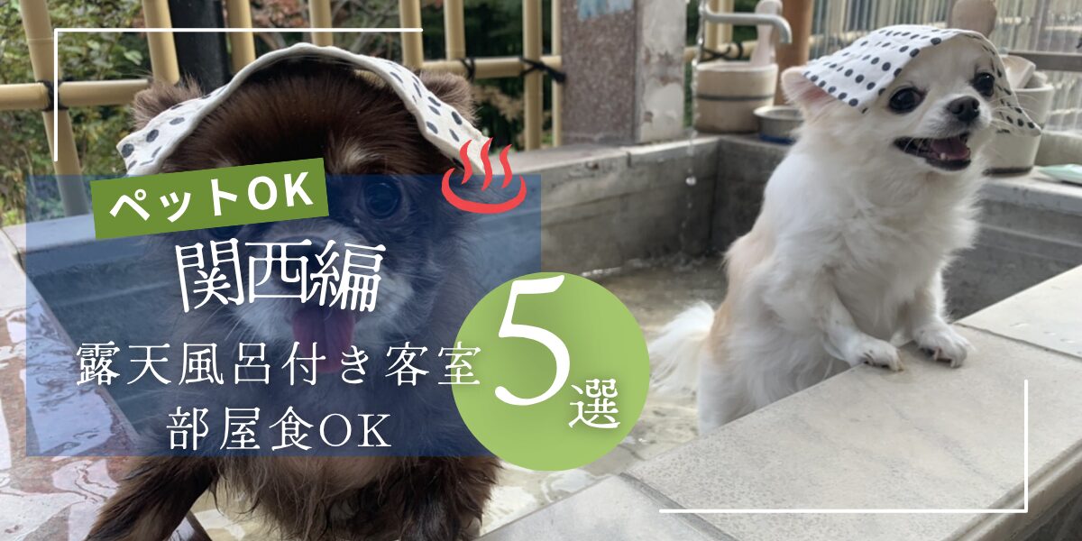 関西でペットと泊まれて露天風呂付き客室と部屋食もできる宿