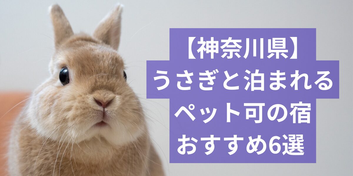 神奈川県内のうさぎと泊まれる宿