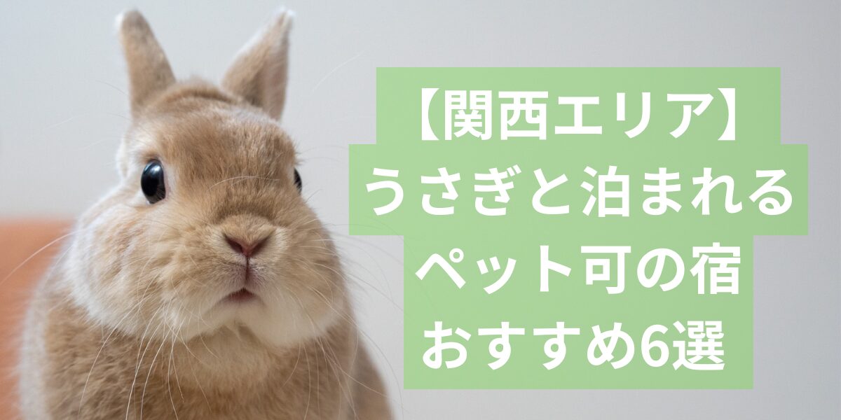 関西でうさぎと泊まれる宿