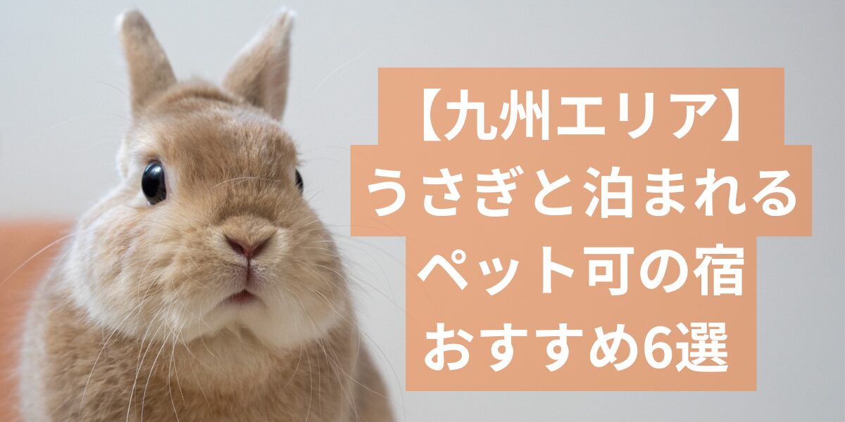 九州エリアでうさぎと泊まれる宿