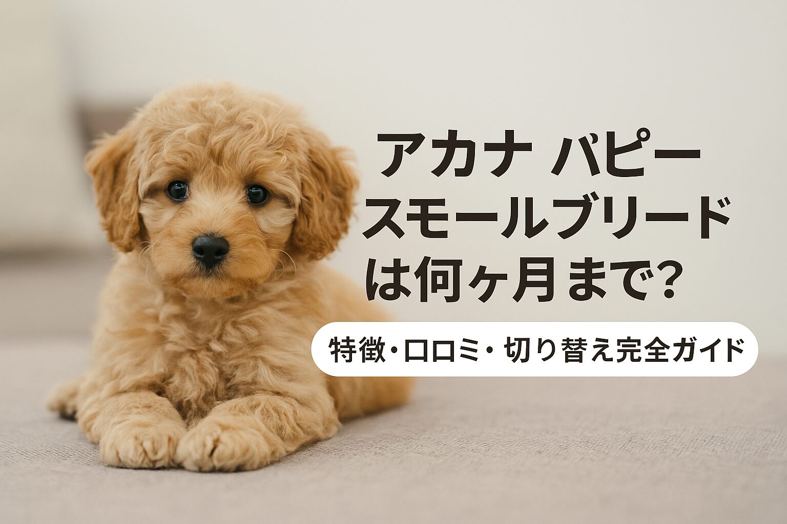 アカナのパピースモールブリードレシピは何ヶ月まで与えていいのか