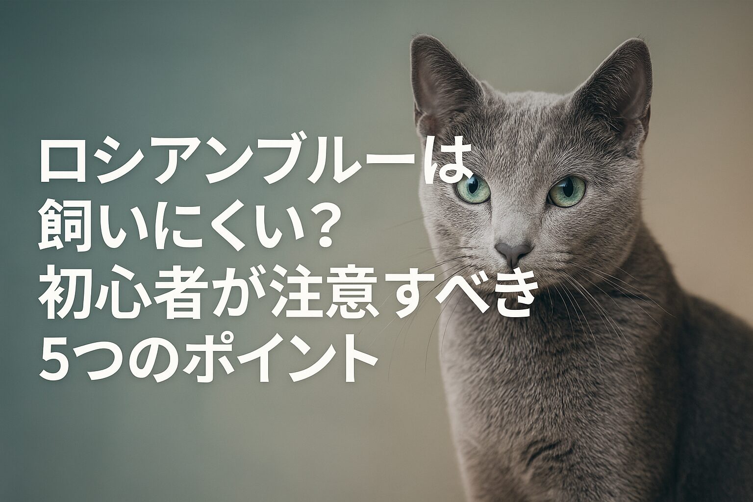 ロシアンブルーは飼いにくいと言われているが本当か