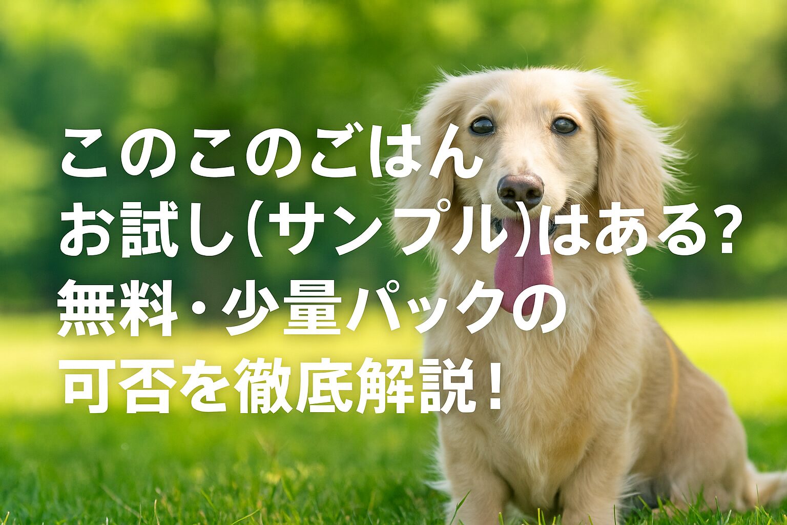 このこのごはんにお試し・サンプルはある？