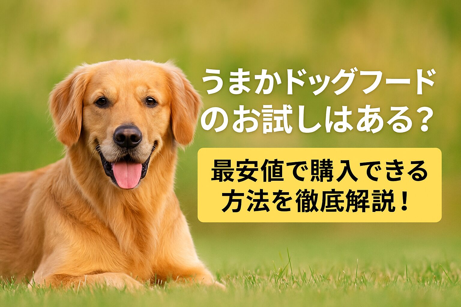 うまかドッグフードのお試しやサンプル品はあるのか？