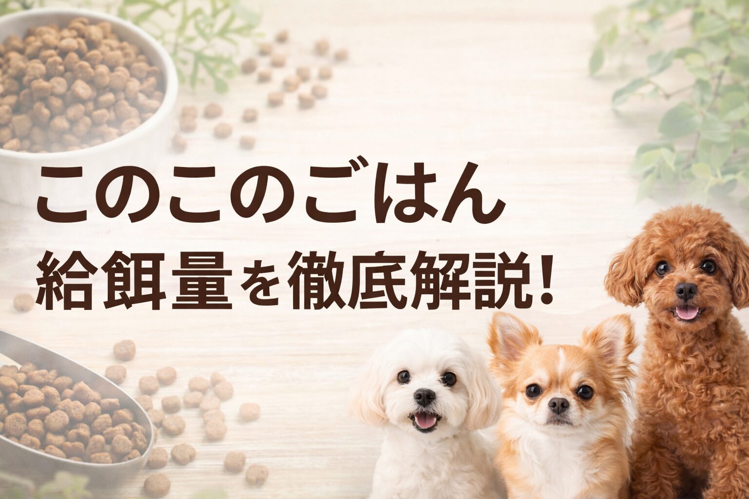 このこのごはんの給餌量（給与量）を徹底解説