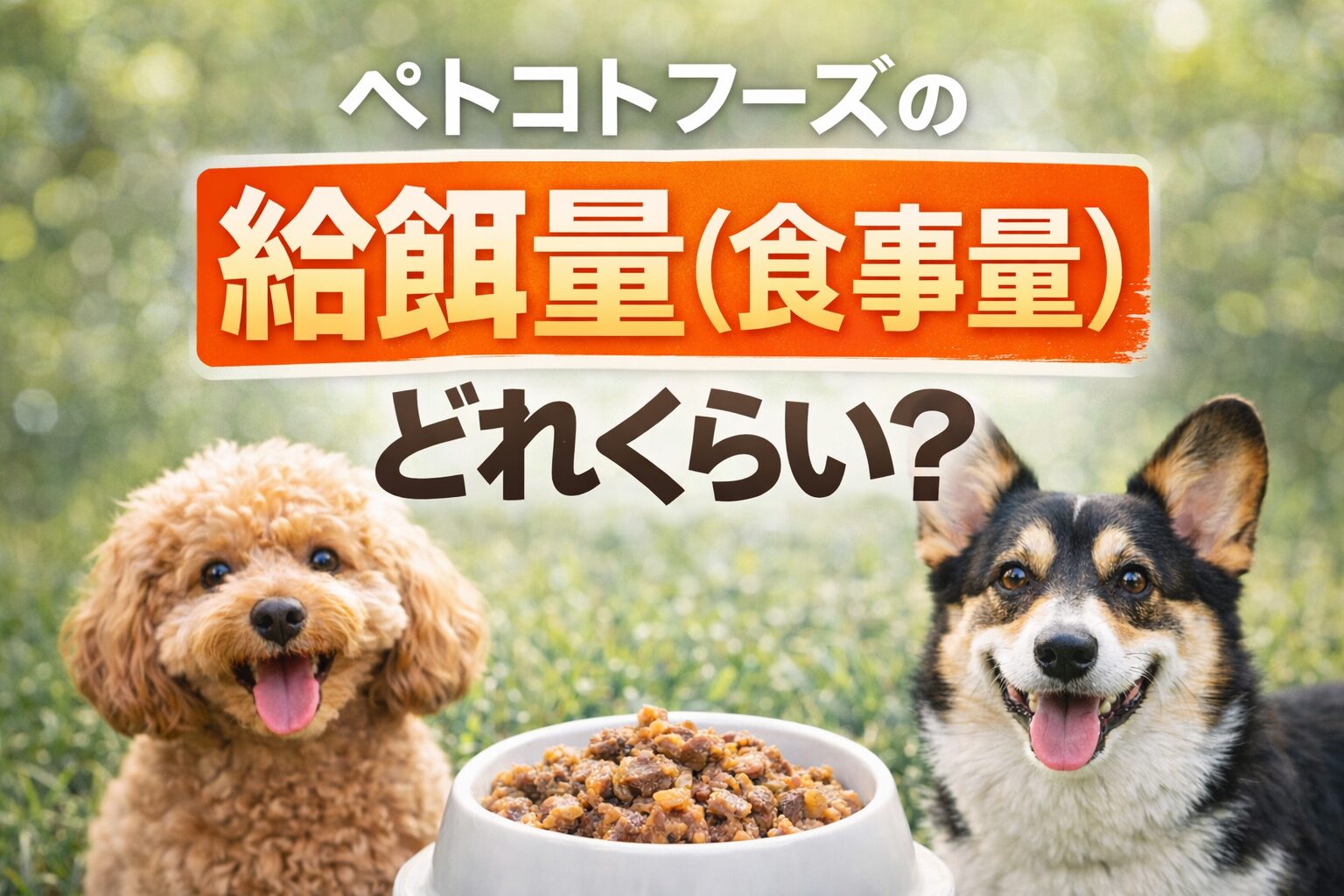 ペトコトフーズの給餌量（食事量）について徹底解説