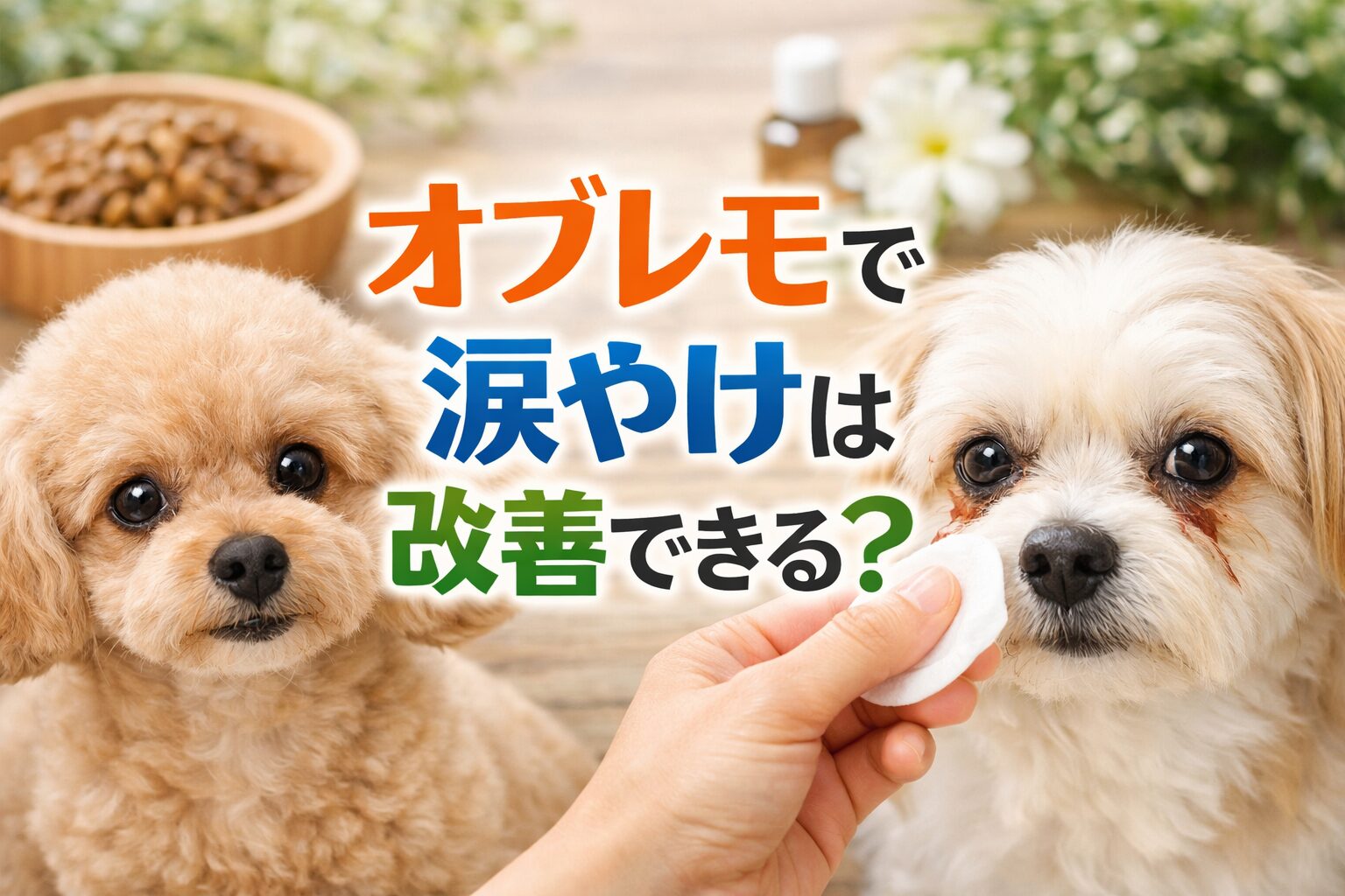 オブレモで涙やけは改善できるのかを公式情報と口コミで調査