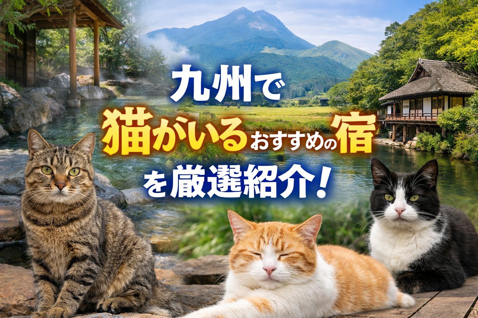 九州で猫がいるおすすめの宿を厳選紹介