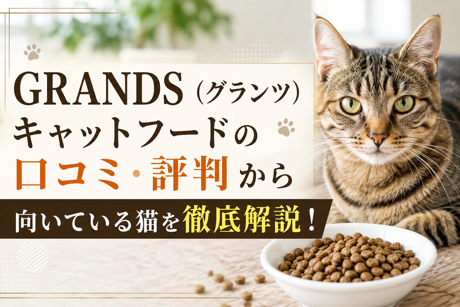 ：GRANDS（グランツ）キャットフードの口コミ・評判まとめ
