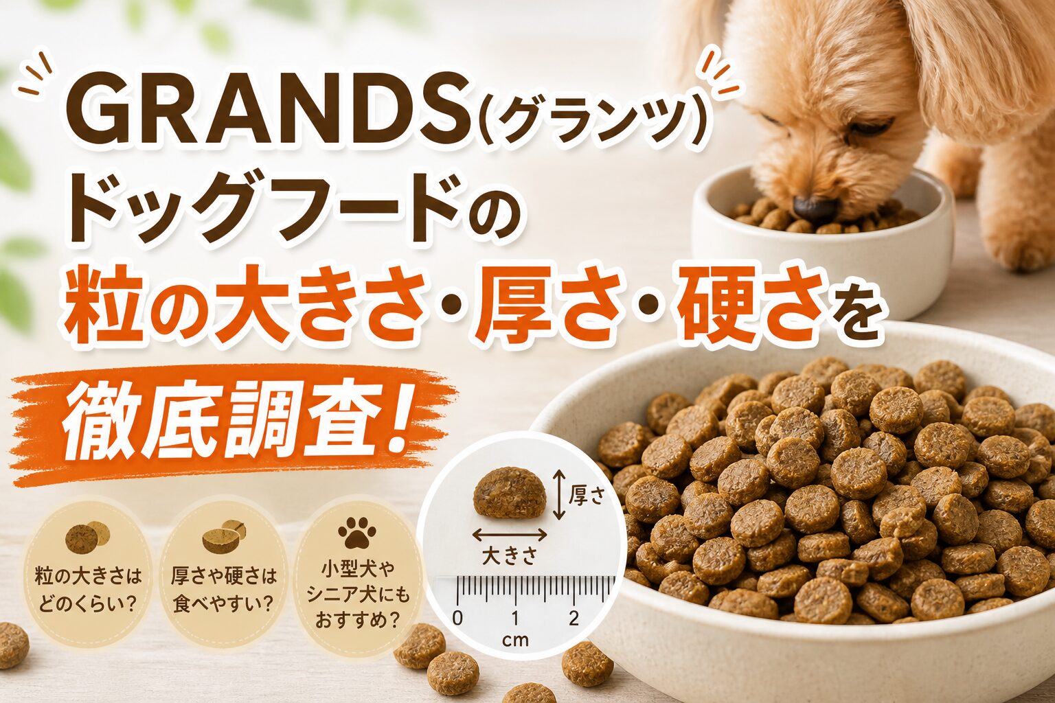 GRANDS(グランツ)ドッグフードの粒の大きさ・厚さ・硬さの調査結果まとめ