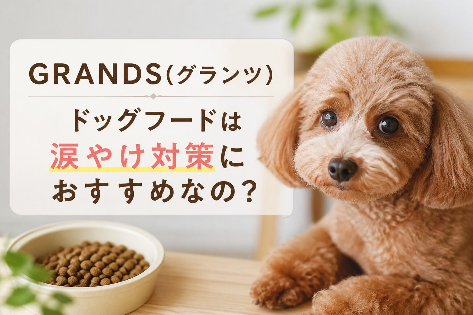 GRANDS(グランツ)ドッグフードの涙やけに関する情報まとめ