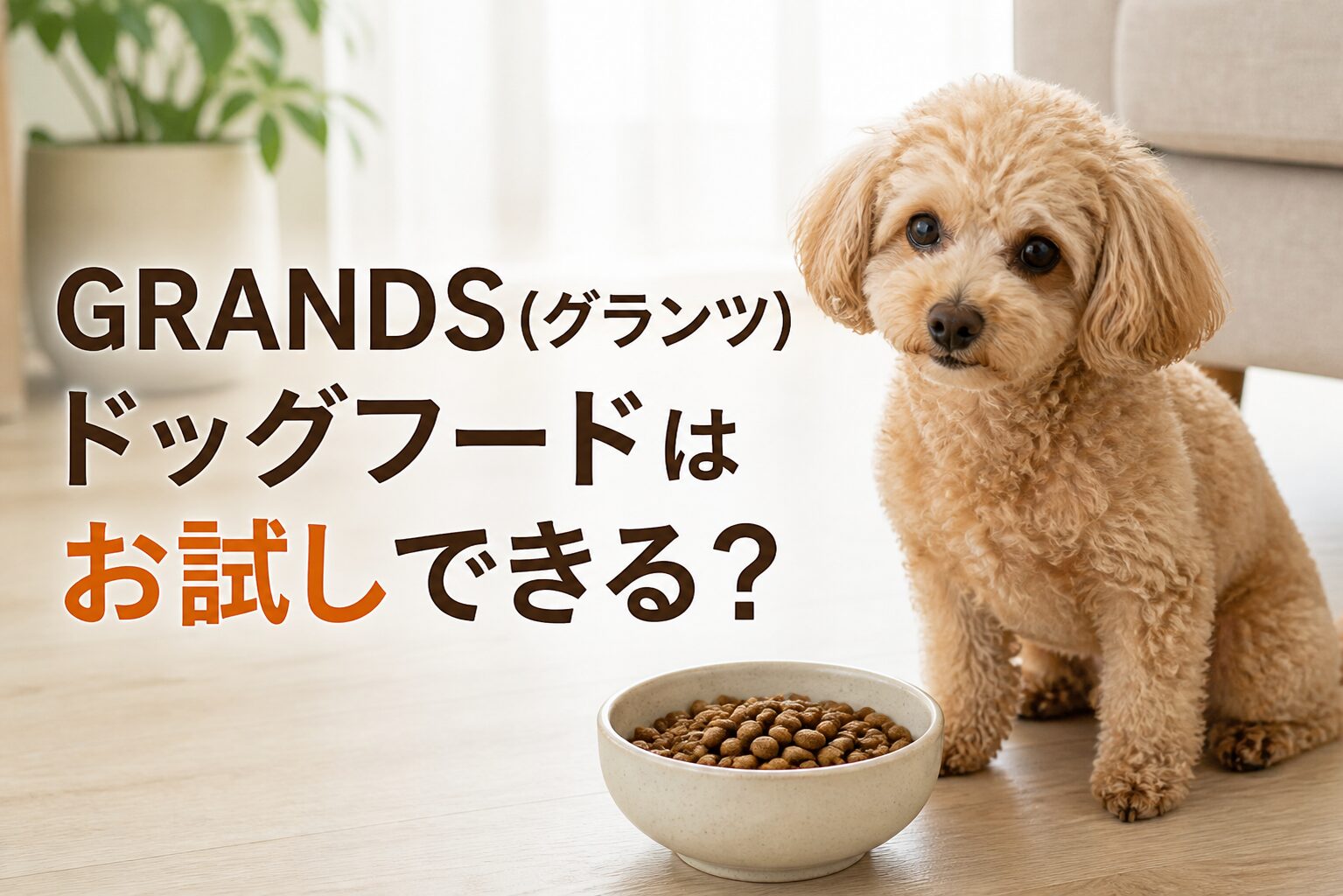 GRANDS(グランツ)ドッグフードのお試し方法まとめ