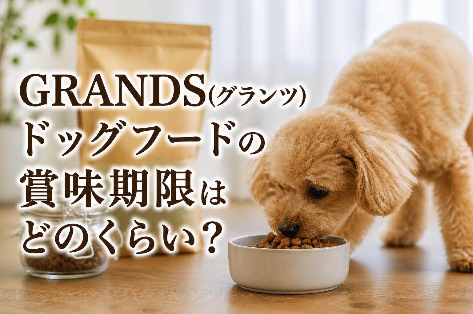 GRANDS(グランツ)ドッグフードの賞味期限はどのくらい？