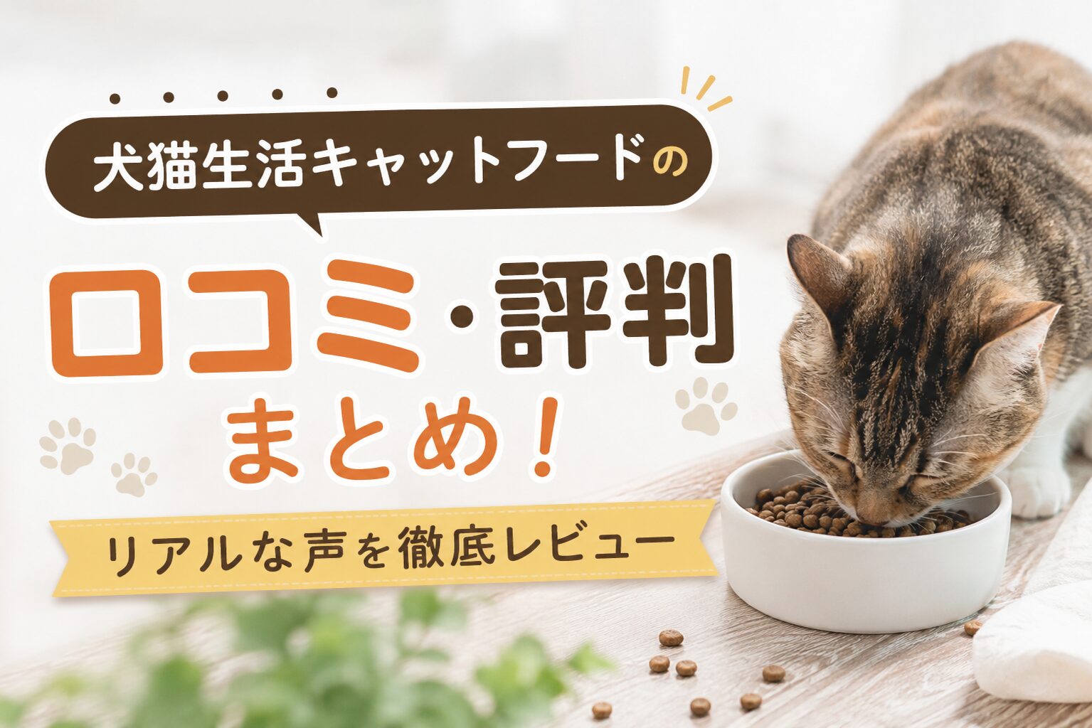 犬猫生活キャットフードの口コミ・評判まとめ