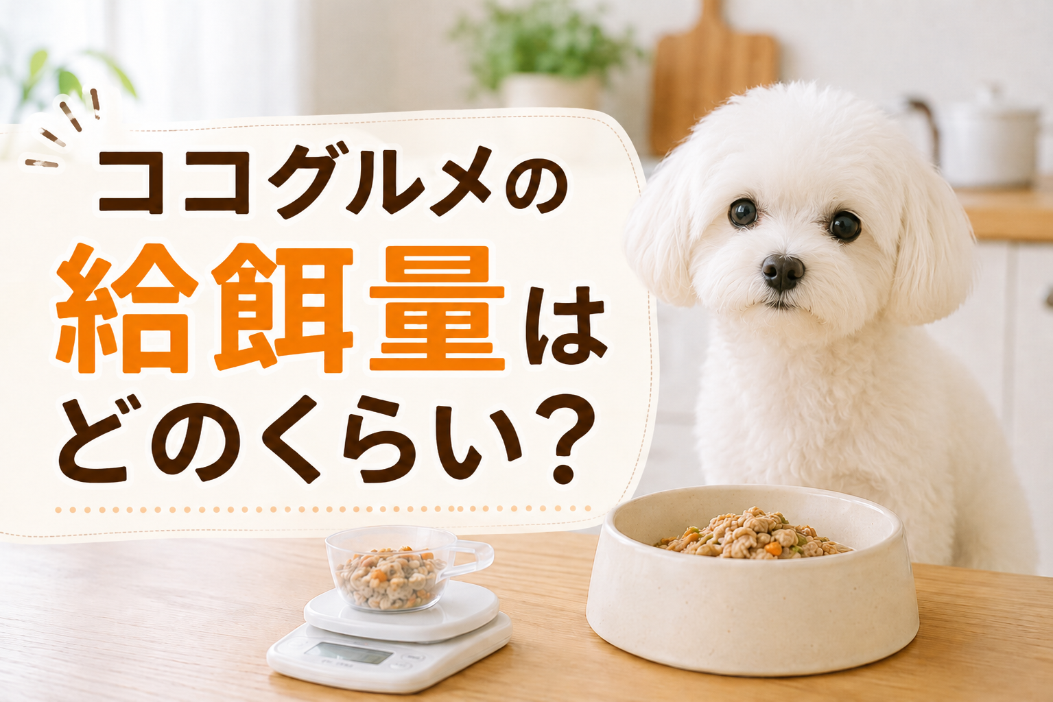 ココグルメの給餌量（給与量）を量って愛犬に与えている画像