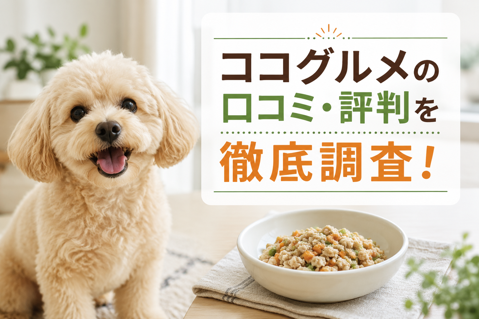 ココグルメを食べている愛犬の画像