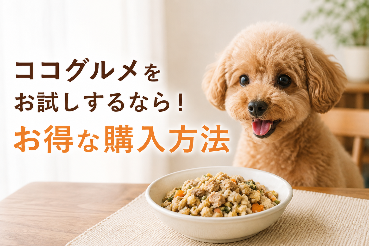 ココグルメをお試しで初めて食べる犬のイメージ画像