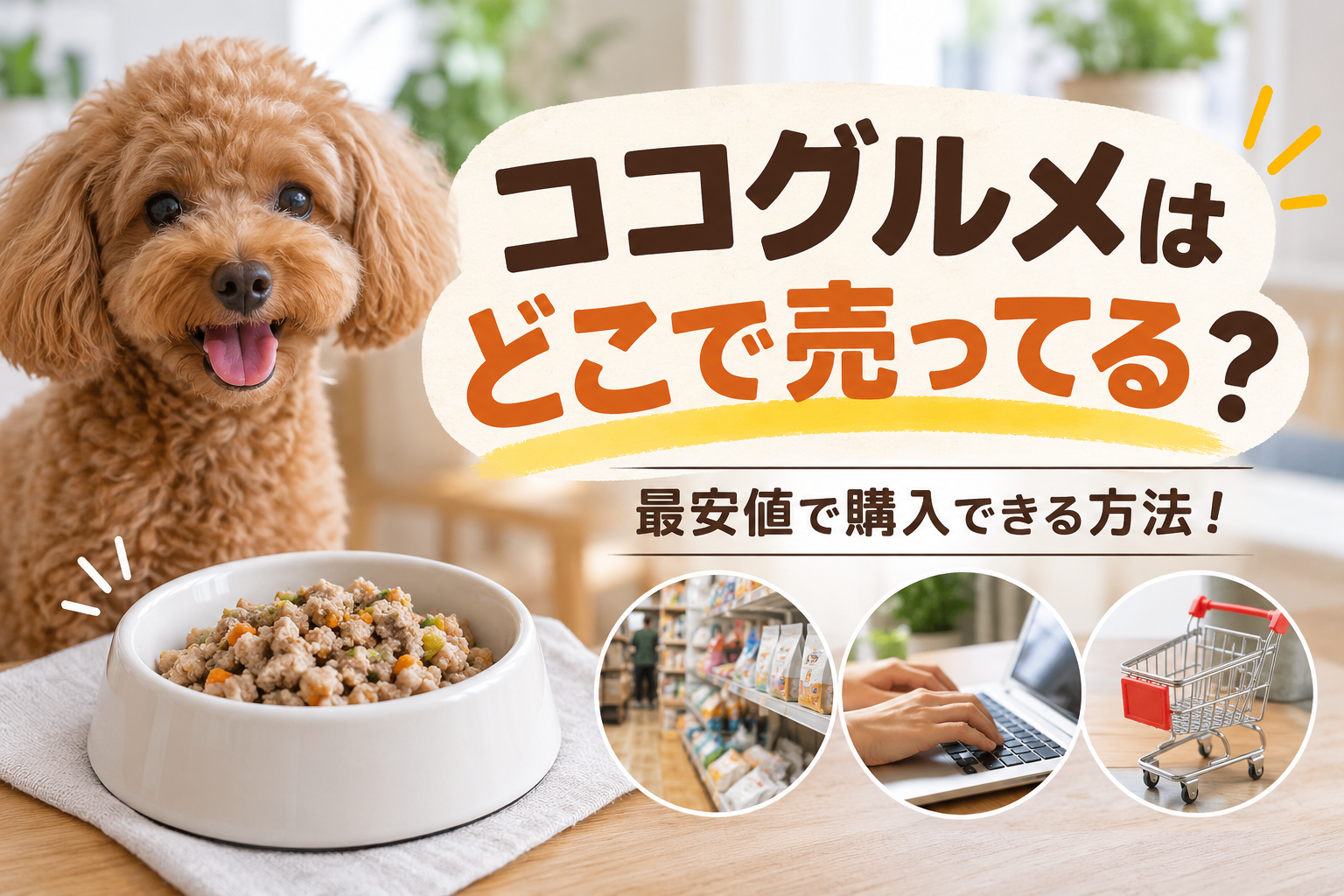 ココグルメの販売場所と購入方法を紹介する小型犬と通販・実店舗のイメージ画像